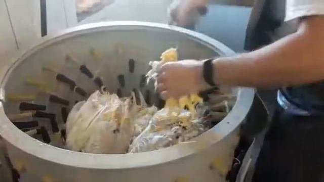 Комплект оборудования Спрут для ощипа птицы. Перосъемная машина Спрут-700