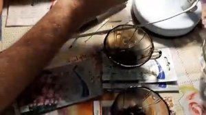 Как вырастить ДЕЛЬФИНИУМ ИЗ СЕМЯН не ХИТРЫЙ СПОСОБ выращивания и как посеять семенами.mp4