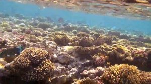 Смотреть Египет Хургада Отель Ле Паша - Египет Хургада Отель Ле Паша