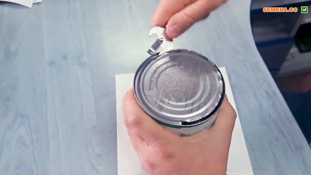 Арбуз АУ Продюсер. Семена арбуза в банках. Innova Seeds смотреть онлайн