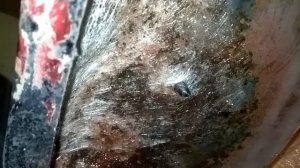 Ремонт арок автомобиля