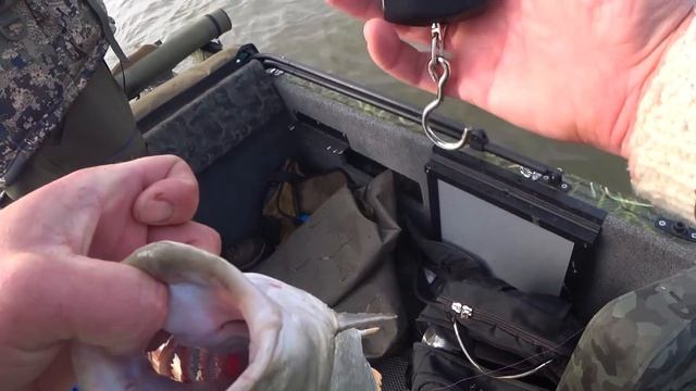 АЖ СПИННИНГ ТРЕЩИТ - БЕШЕНЫЙ КЛЁВ ХИЩНОЙ РЫБЫ смотреть онлайн