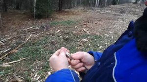 Светошумовой патрон гром