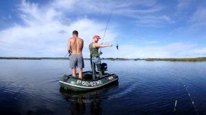 Валетники. Щука и окунь.