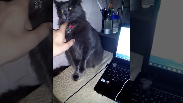 "Варя" греет попу и злится..... смотреть онлайн