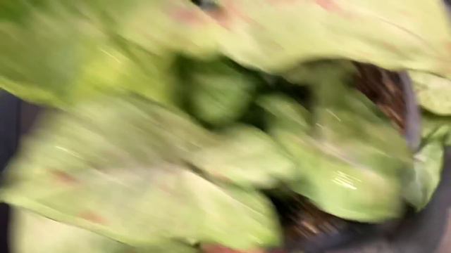 After few months of regret not buying, I finally ... смотреть онлайн