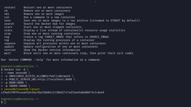 How to Install RavenDB with Docker смотреть онлайн