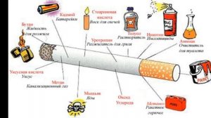 Из чего сделана сигарета?
