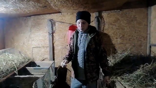 кролики ? почему серебро, а не панон смотреть онлайн