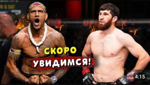 Ответ команды Алекса Перейры Магомеду Анкалаеву