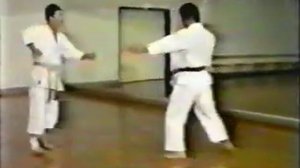 Техника каратэ Шотокан