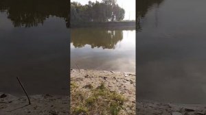 Утро на протоке Симан Томская область