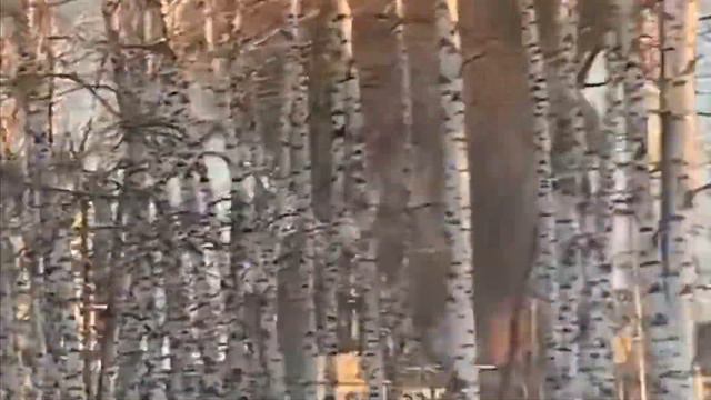 Russia: Antipinsky Oil Refinery is on fire in Tyumen смотреть онлайн