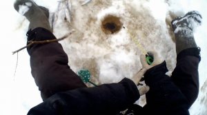 Рыбалка  на плотву. Ловля плотвы на зимней рыбалке на мормышку на реке Сухона