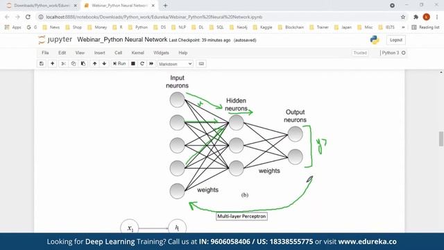Neural Networks in Python | How to make a Neural Network in Python | Edureka | DL Live - 1