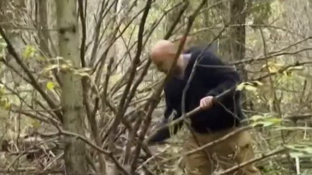 28 Рейтинг Баженова Могло быть хуже Терпение и трут