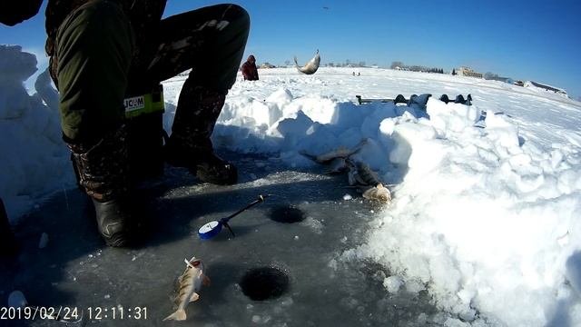 Неплохой клев окуня/Рыбалка 2019 Казахстан село Викторовка