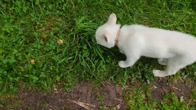 01 09 2021г 9 38 13 смотреть онлайн