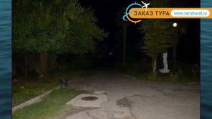 АБААТА 2* Абхазия Гагра обзор – отель АБААТА 2* Гагра видео обзор