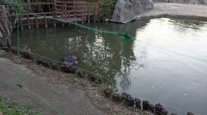 Сафари парк