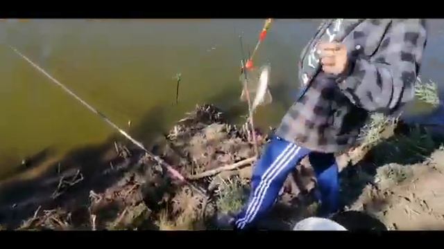 На рыбалке природа. Свежий воздух, выходной смотреть онлайн