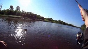 Лещ на мормодроч