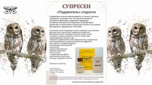 Петр Анатольевич Солдатенков о своей новой компании Сово Сова и результатах по