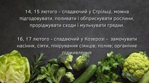 Коли сіяти, поливати, саджати? Місячний посівний календар на ЛЮТИЙ 2023: що робити по днях