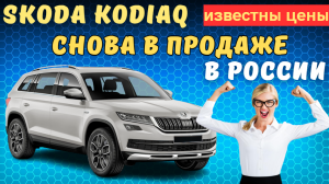 Skoda Kodiaq 2023 года появились в продаже в России | Известны цены