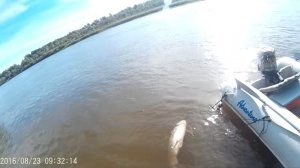 Рыбалка на Нижней Волге и река Ахтуба. Астраханская область. г. Харабали посёлок Дедушкин.