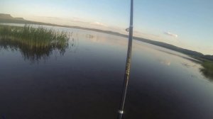 КАРАСЬ НА СОСКУ! Красноярский край г.Шарыпово 2019