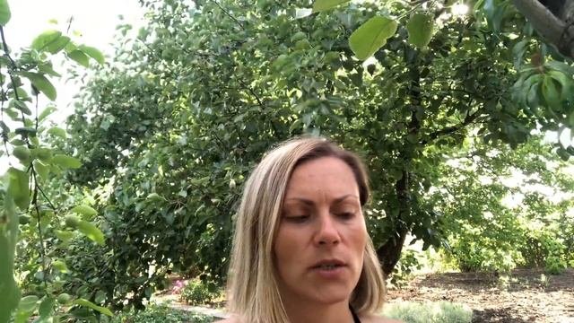 Что происходит с личностью после просветления? Как просветлеть. Как стать просветленным. Медитация.