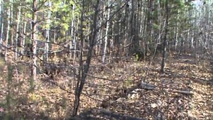 Усть-Илимск. вч 92712. октябрь 2011 г.