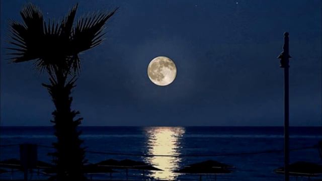 Мелодия ночи-саксофон смотреть онлайн