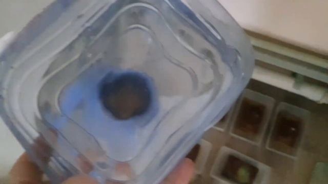 Заказал рыбок! Обращение к взаимным подписчикам! Ответ подписчикам насчет выгоды ) Будни аквариумов