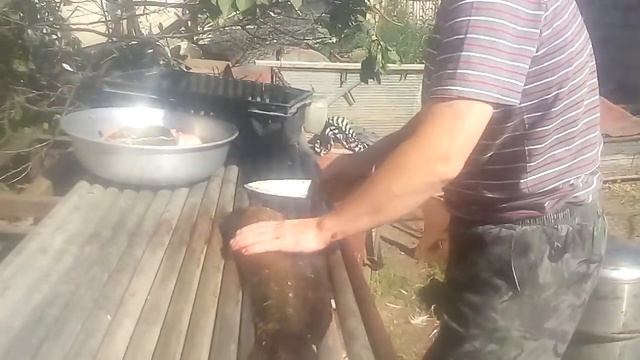 сом виноград и груши смотреть онлайн