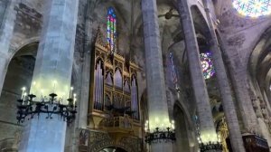 Cathedral of Light "LA SEU"