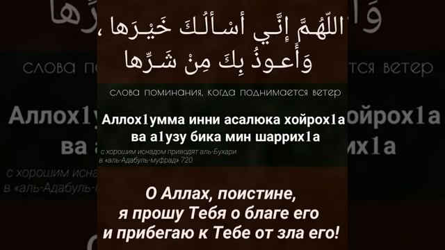 Ду1а на все случаи жизни. Молитва. Азкары.