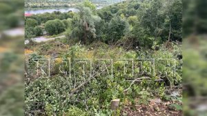 Владелец элитной земли, ради красивого вида из окна, вырубил сотни деревьев на склоне Волги