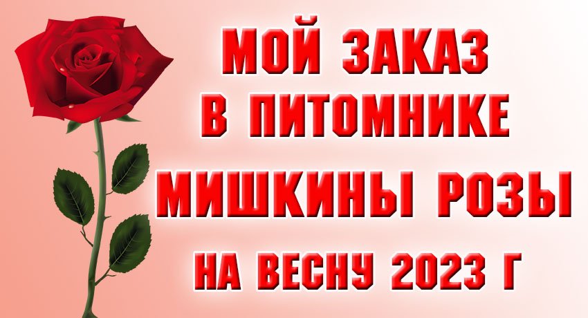 Питомник мишкины розы на весну 2024. Питомник роз Мишкины розы. Питомник Мишкины розы отзывы. Питомник Мишкины розы каталог на осень 2023.