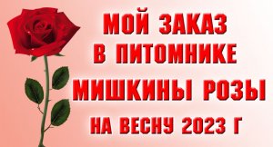 Заказ в питомнике Мишкины розы
