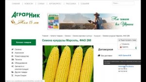 "Редактировать товар в КАТАЛОГЕ" – инструкция пользователю