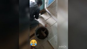 Плиточник прикол