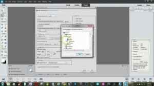 Process Multiple Files with Photoshop Elements 12