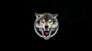 ВСЕ МОИ ВОЛКИ ДЕЛАЮТ - АУФ ( BASS )