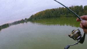 Мормышинг ОК№2. Крупный окунь на Prestige 198. Барские пруды.