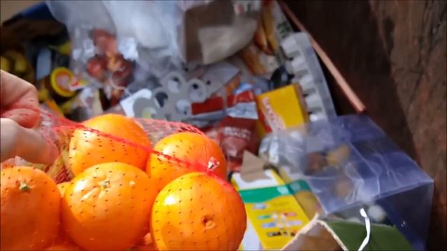 We Found POT؟!؟! Dumpster Diving for  More than Just Free Food!   Freegan Freedom!
