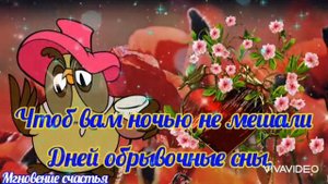 Добрый Вечер Пусть подарит он уют! ???Красивая Музыкальная Открытка!
