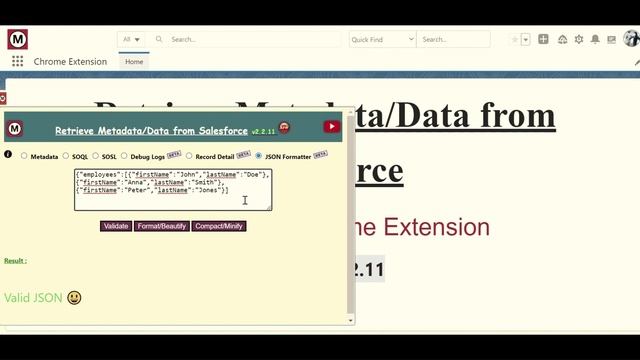 Retrieve Metadata/Data from Salesforce |v2.2.11 Updates #salesforce #developertools #chromeextensio