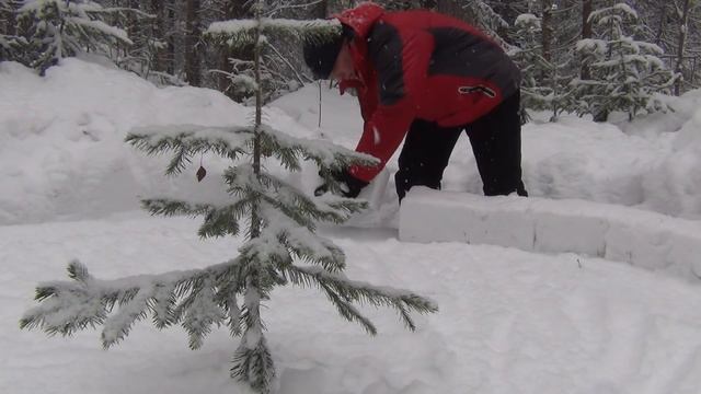 Снежное укрытие. Таёжное Сибирское ИГЛУ! Зимняя тайга,кедры и много снега! Часть первая! смотреть онлайн